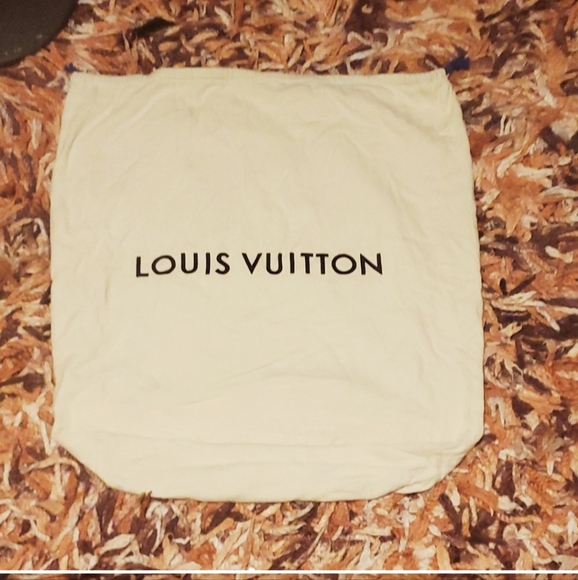 Louis Vuitton Dust Bag - Picture 1 of 6